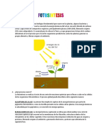 Fotosintesis-Jairo Andres Diaz