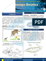 Zoología 7