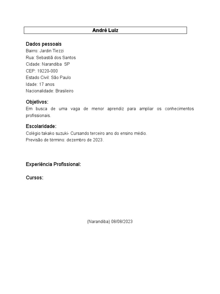 Curriculo Template PDF