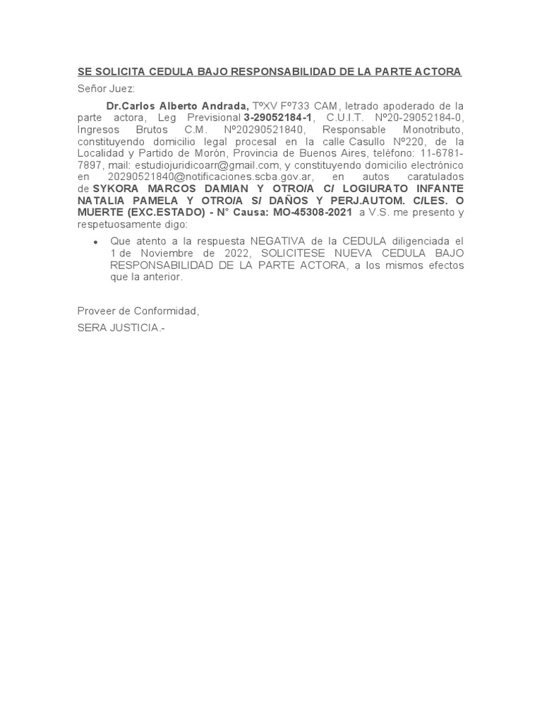 Solicitud de Cédula bajo Responsabilidad | PDF | Política | Ciencias ...