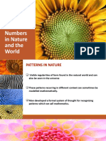 Lesson 1.1 Patterns and Numbers in Nature and The World (Autosaved)