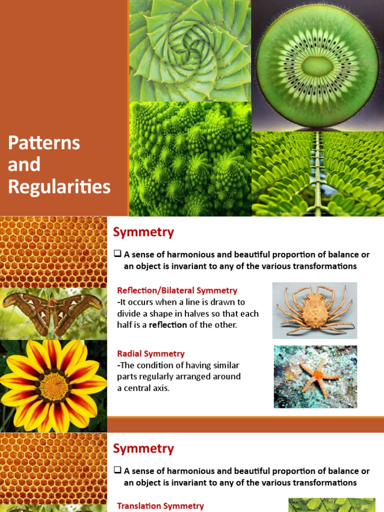 Symmetry Patterns in Nature | PDF | Pattern | Symmetry