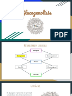 Glucogenolisis