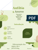 Anfíbios Anuros