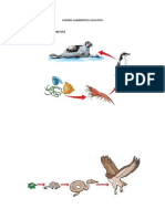 CADENA DE BIOLOGIA