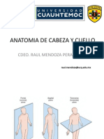 Anatomía