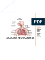 Aparato Respiratorio