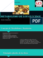 Metabolismo de Los Glucidos