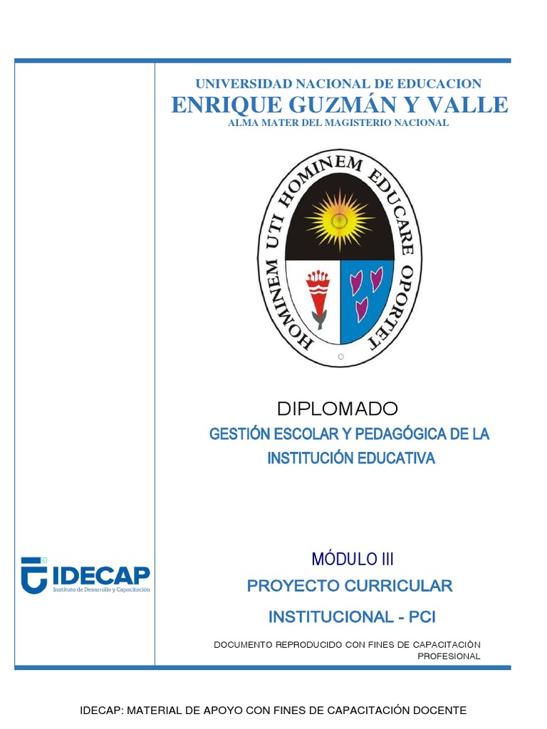 Guía para el Proyecto Curricular Institucional | PDF | Plan de estudios ...
