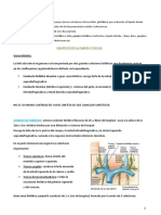 Angiología Linfa