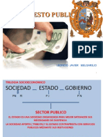 Presupuesto Sector Publico-22