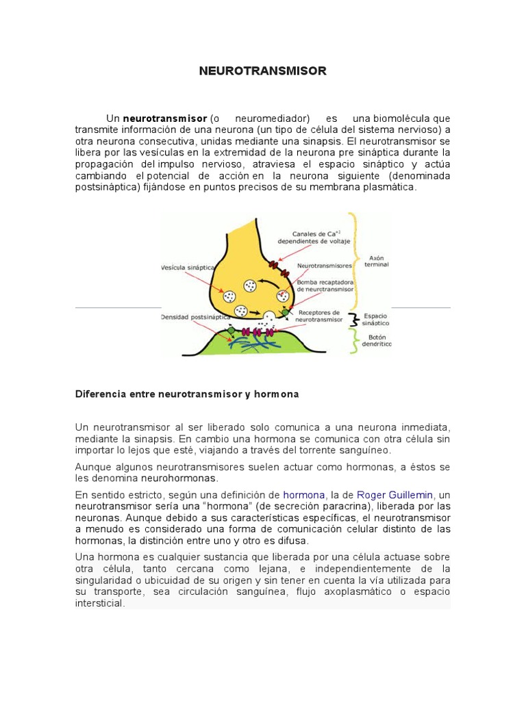 Neuro Transm Is or | PDF | Neurotransmisor | Sinapsis