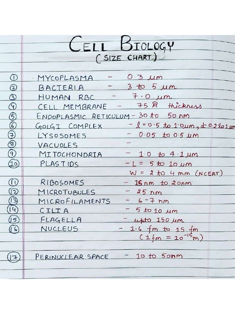 Bio Notes | PDF