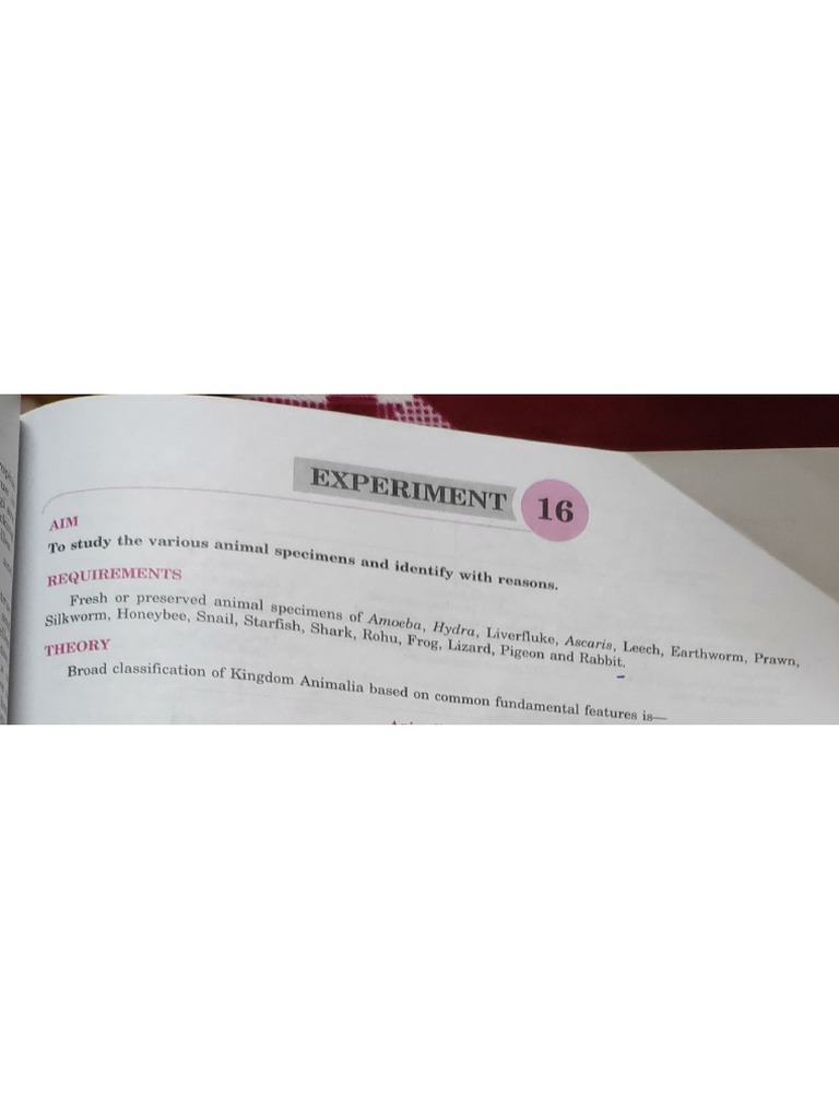 Biology | PDF