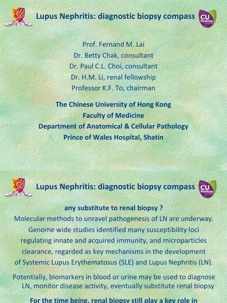 Lupus Nephritis | PDF | Pathology | Kidney Disease
