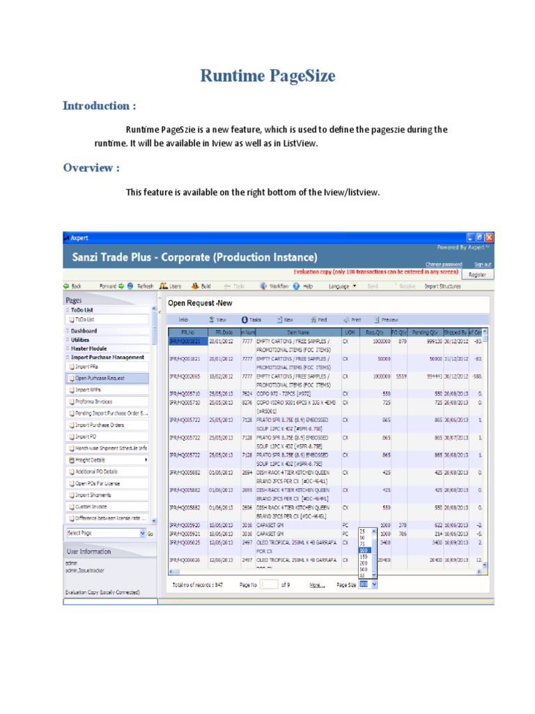 Runtime PageSize Feature Overview | PDF