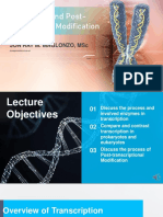 Module 9B - Transcription and Post-Transcriptional Modification