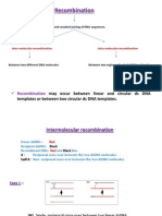 Recombination: May Occur Between Linear and Circular Ds DNA Templates or Between Two Circular Ds DNA Templates