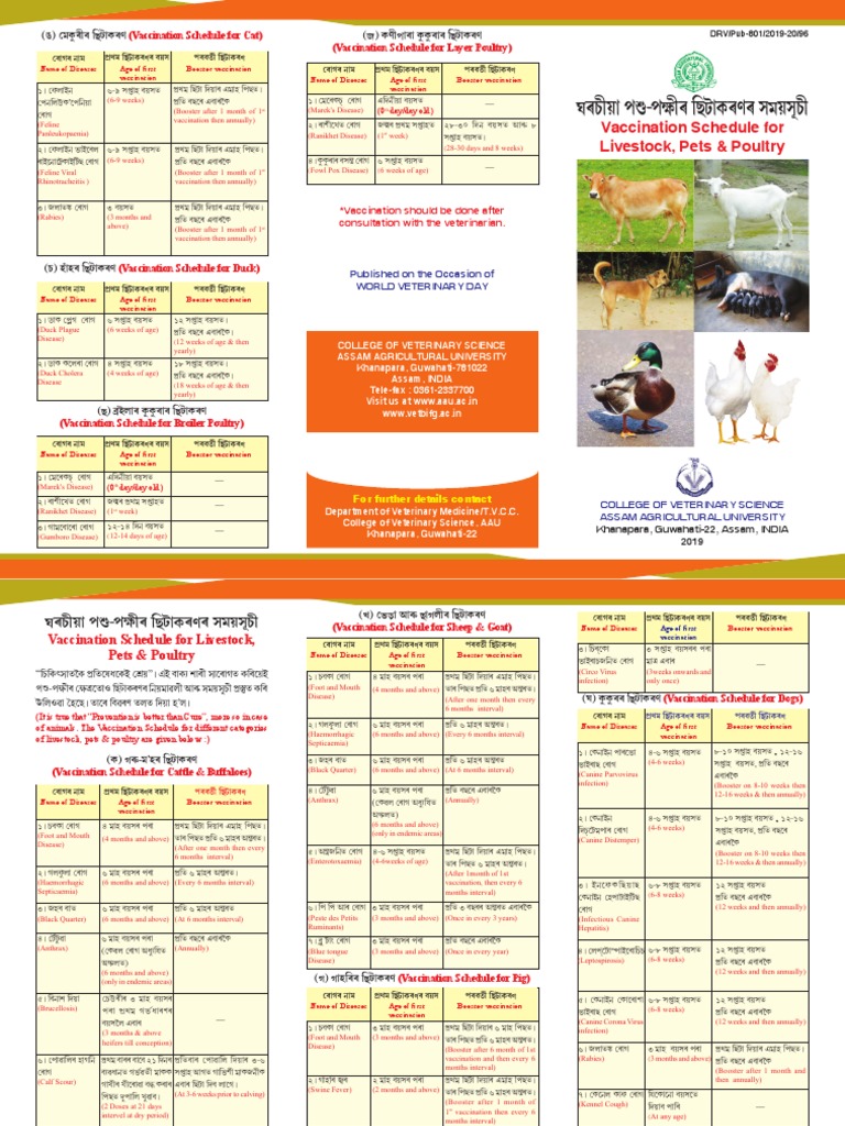 Vaccination Leaflet | PDF