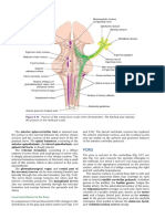 Snell's Clinical Neuroanatomy Chapter Pons