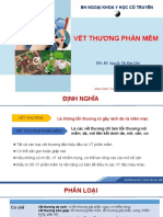 VẾT THƯƠNG PHẦN MỀM