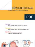 BG TEO TK THỊ GIÁC