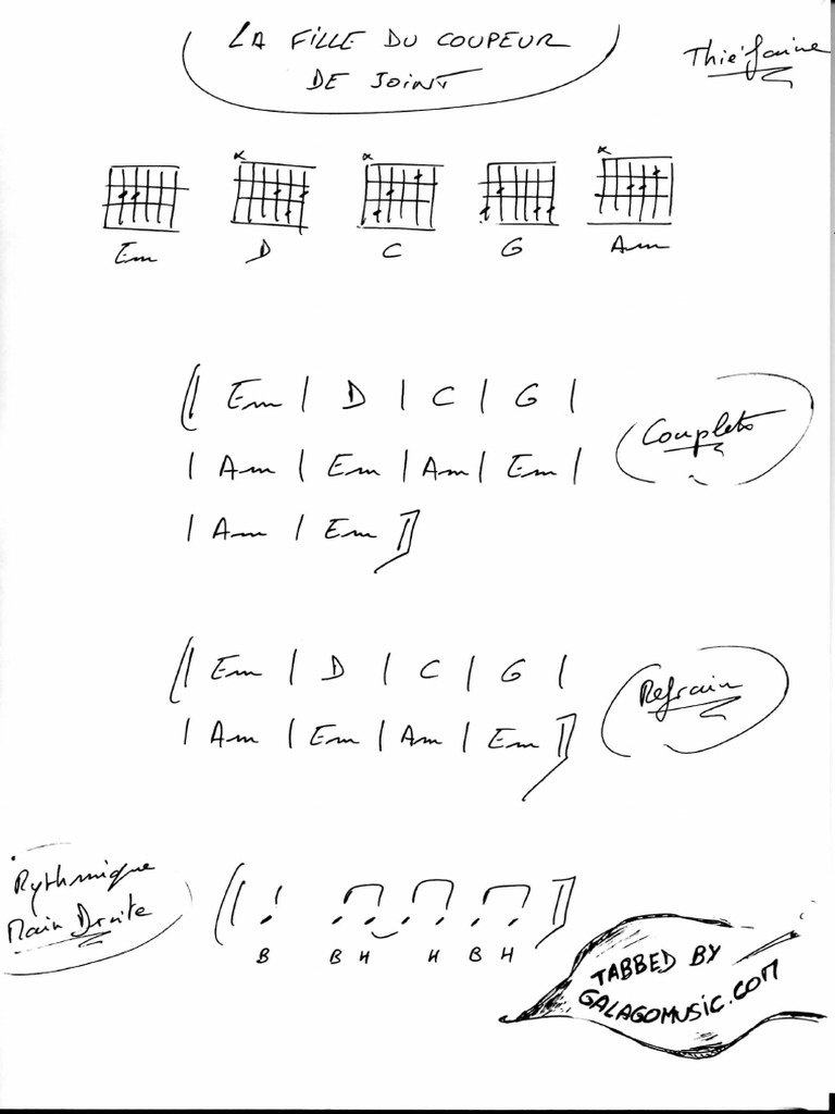 LafilleducoupeurdejointThiéfaine PDF