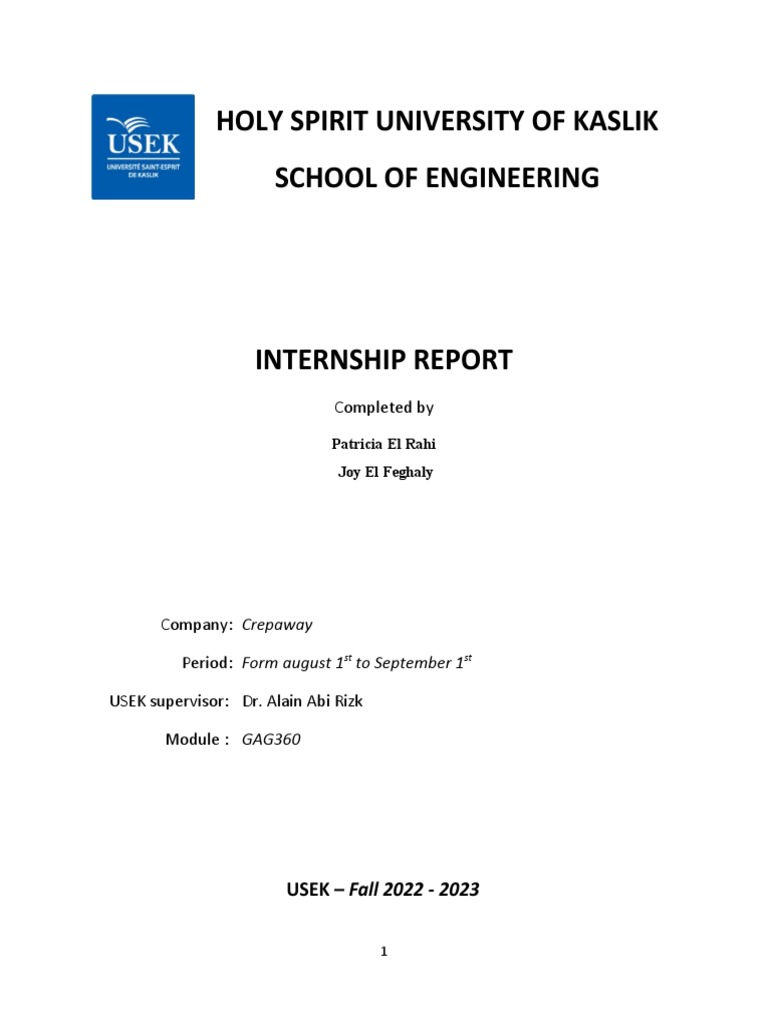 Joy El Feghaly and Patricia El Rahi Internship Report GAG360A | PDF ...