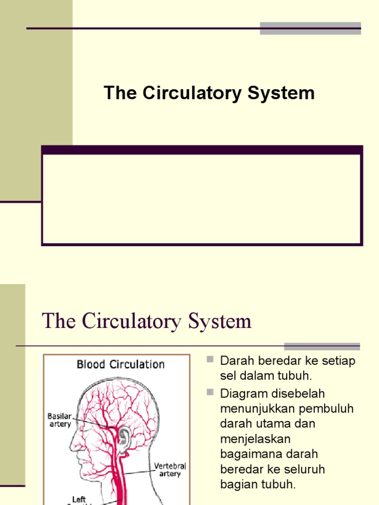 Circulation | PDF