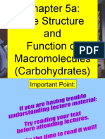 Carbohydrate