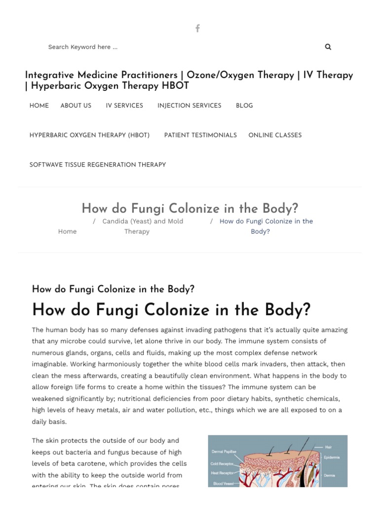How Do Fungi Colonize in The Body PDF Fungus Stomach