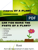 Parts of The Plant