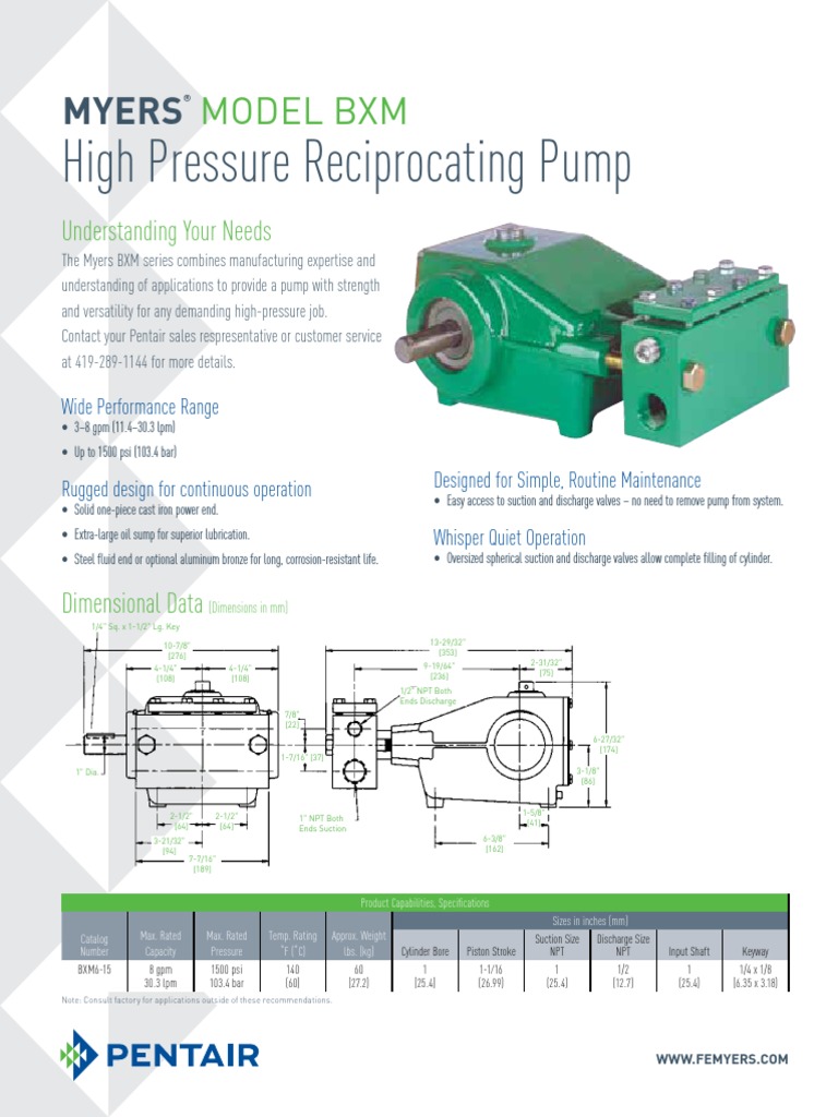 Myers Reciprocating Pump Brochure | PDF | Pump | Bearing (Mechanical)