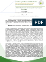 Diagnosis of Patients With Cerebral Ischemic Encephalopathy Using Computed Tomography