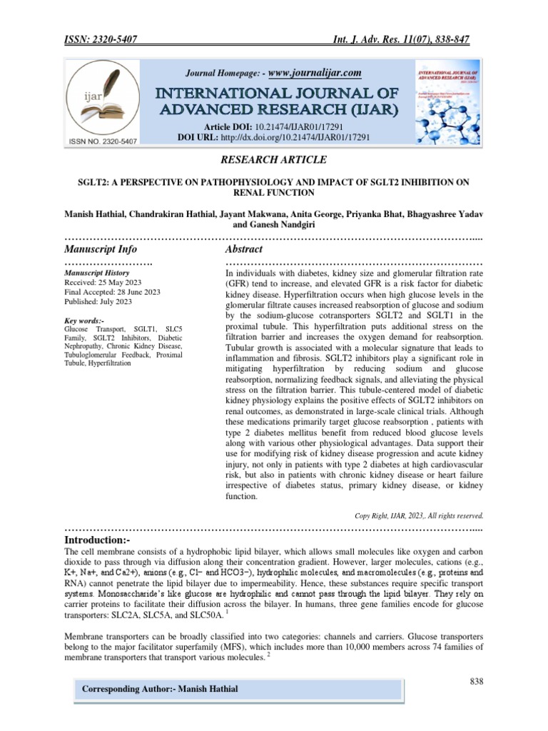 SGLT2: A Perspective On Pathophysiology and Impact of SGLT2 Inhibition ...