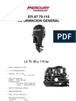 EFI 4T 75-115 Informacion General - 062941