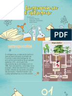 Ciclobiogeoquimicodelnitrogeno DEFINITIVO