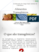 Apresentacao Transgenicos