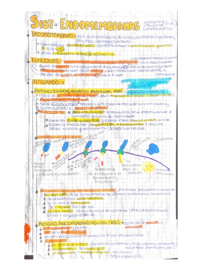Biologia 1er Parcial Catedra Skerl Parte 2 | PDF