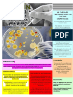 Boletín P2