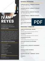 CV Iván Reyes 2023