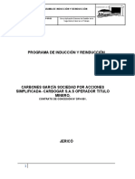 7.programa de Inducción y Reinducción