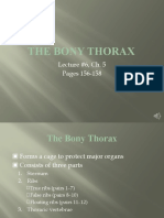 Lecture #6 CH 5 Thoracic Cavity - Pgs. 156-158