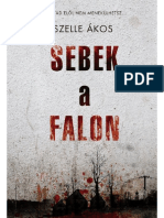 Szelle Akos - Sebek  a falon