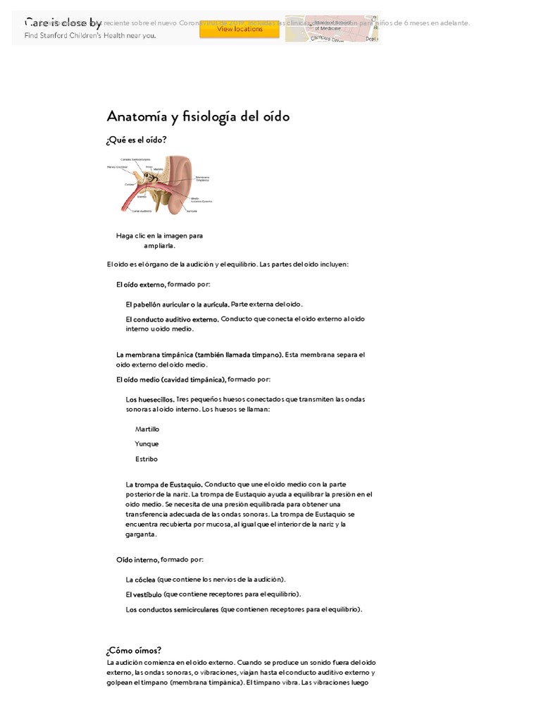 Anatomia Y Fisiologia Del Oido Pdf
