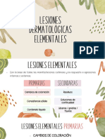 Lesiones Elementales Clase