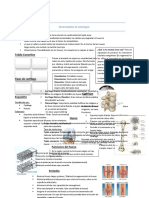 Clase 2 - Generalidades de Osteología Uss