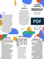 TRIFOLIAR de Acuerdo Ministerial