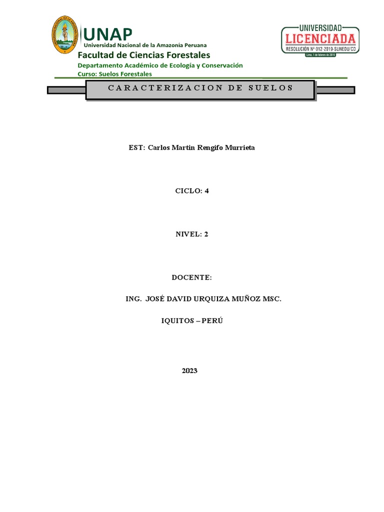 RESUMEN 3 - Carlos Rengifo | PDF