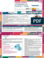 Primaria 1° Programa Analitico MD - DHyC